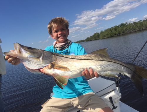 Winter Fishing in The Everglades 10,000 Islands