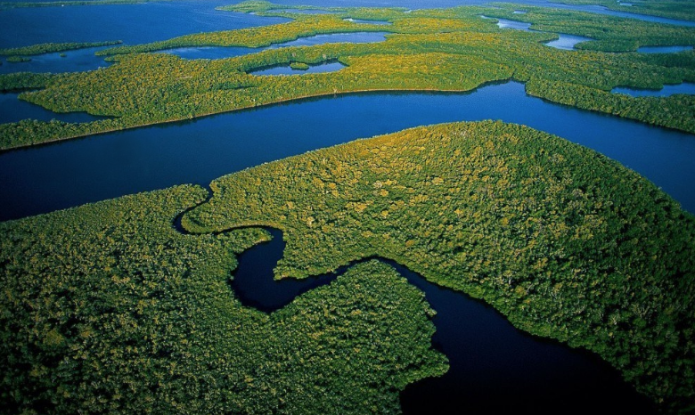Everglades National Park Aerial View