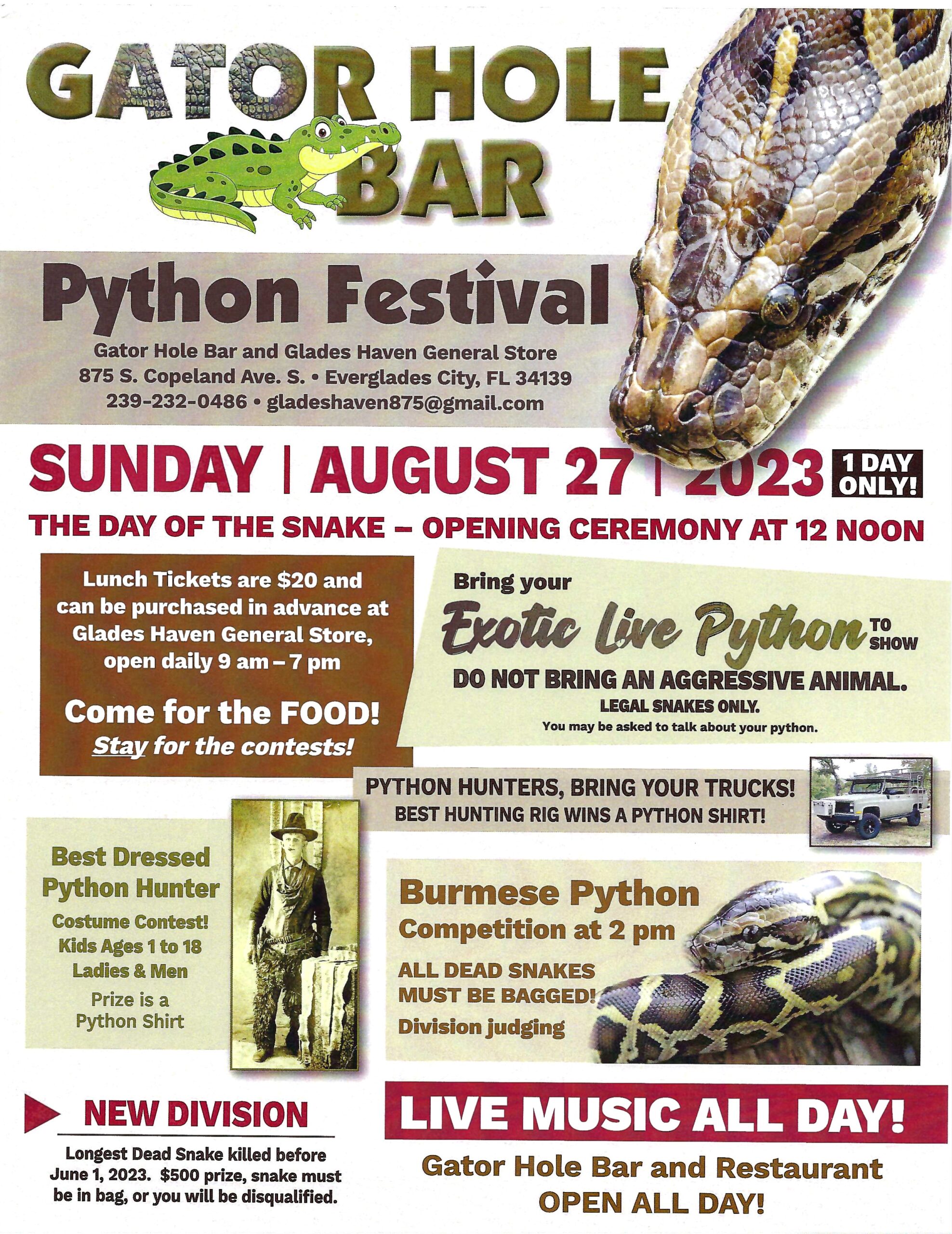 Sunday Python Festival