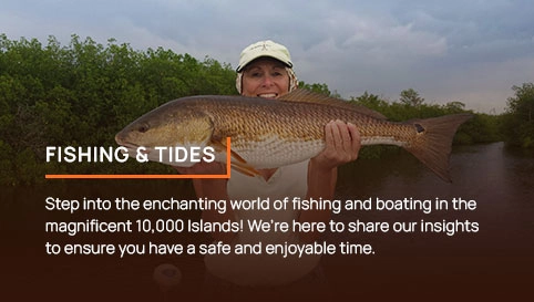 Fishing and Tides Information for Everglades City and surrounding areas