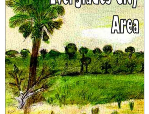 Best Seller! “A Brief History of the Everglades City Area”