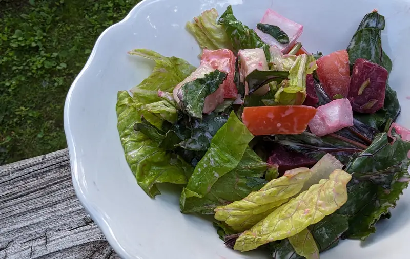 Summer Beet Salad Recipe on Visit Everglades City