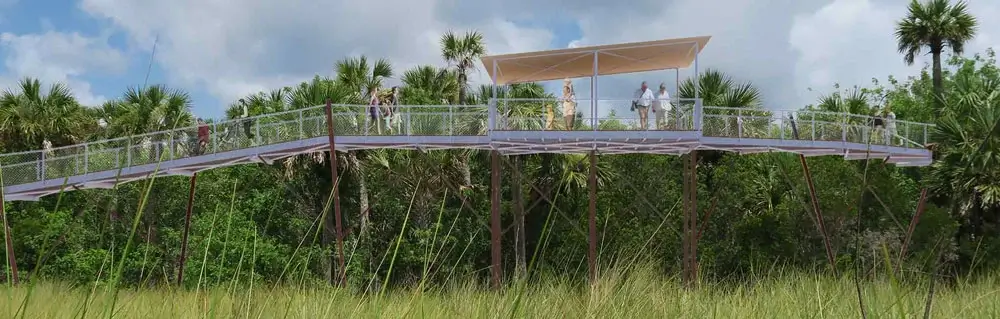 Fakahatchee Strand Preserve State Park Big Cypress Bend Boardwalk from the Mullet Rapper on Visit Everglades City