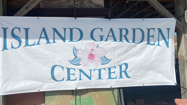 Island Garden Center on Visit Everglades City 768x432