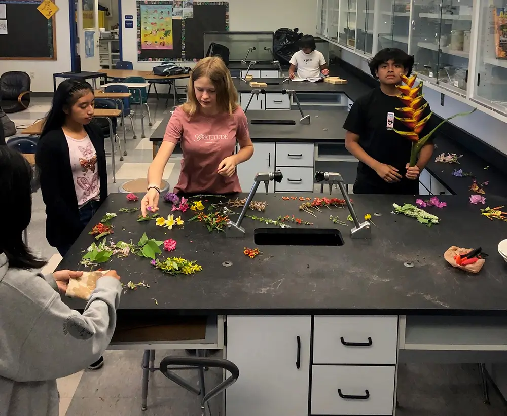 Everglades City School Flower Disection Labs with High Schoolers