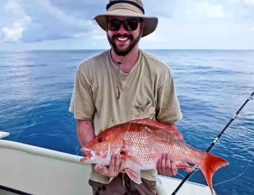 103-Day Gulf Red Snapper Recreational Season for 2024