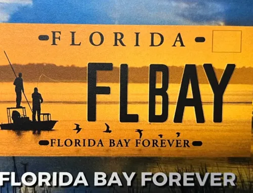 Florida Bay Forever