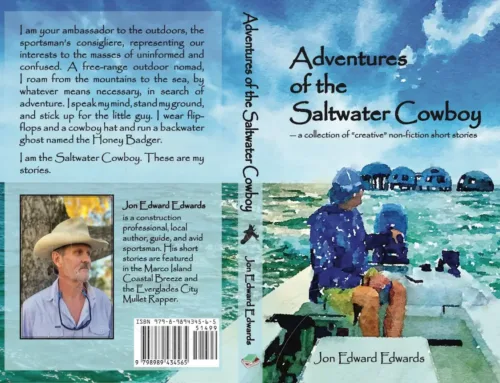 Adventures of the Saltwater Cowboy: Letter to the Board