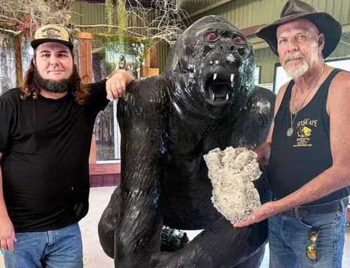 Year of the Skunk Ape Is Real