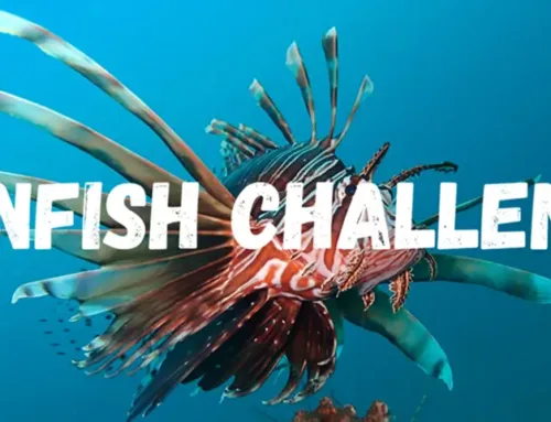 FWC 2024 Lionfish Challenge