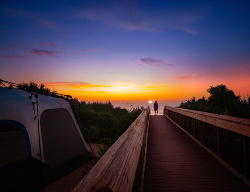 Florida State Parks announces 2025 photo contest winners