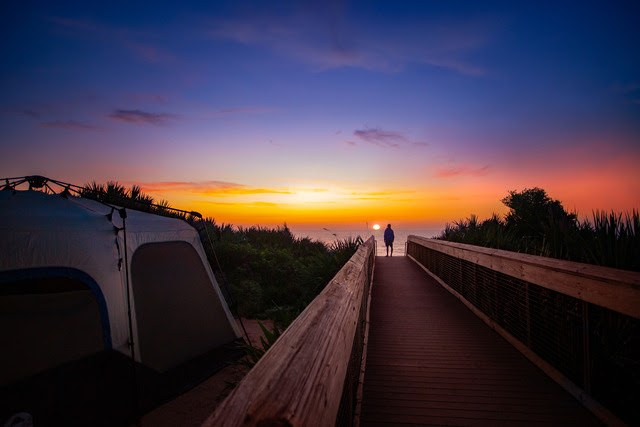 Courtesy of Florida Department of Wildlife Protection