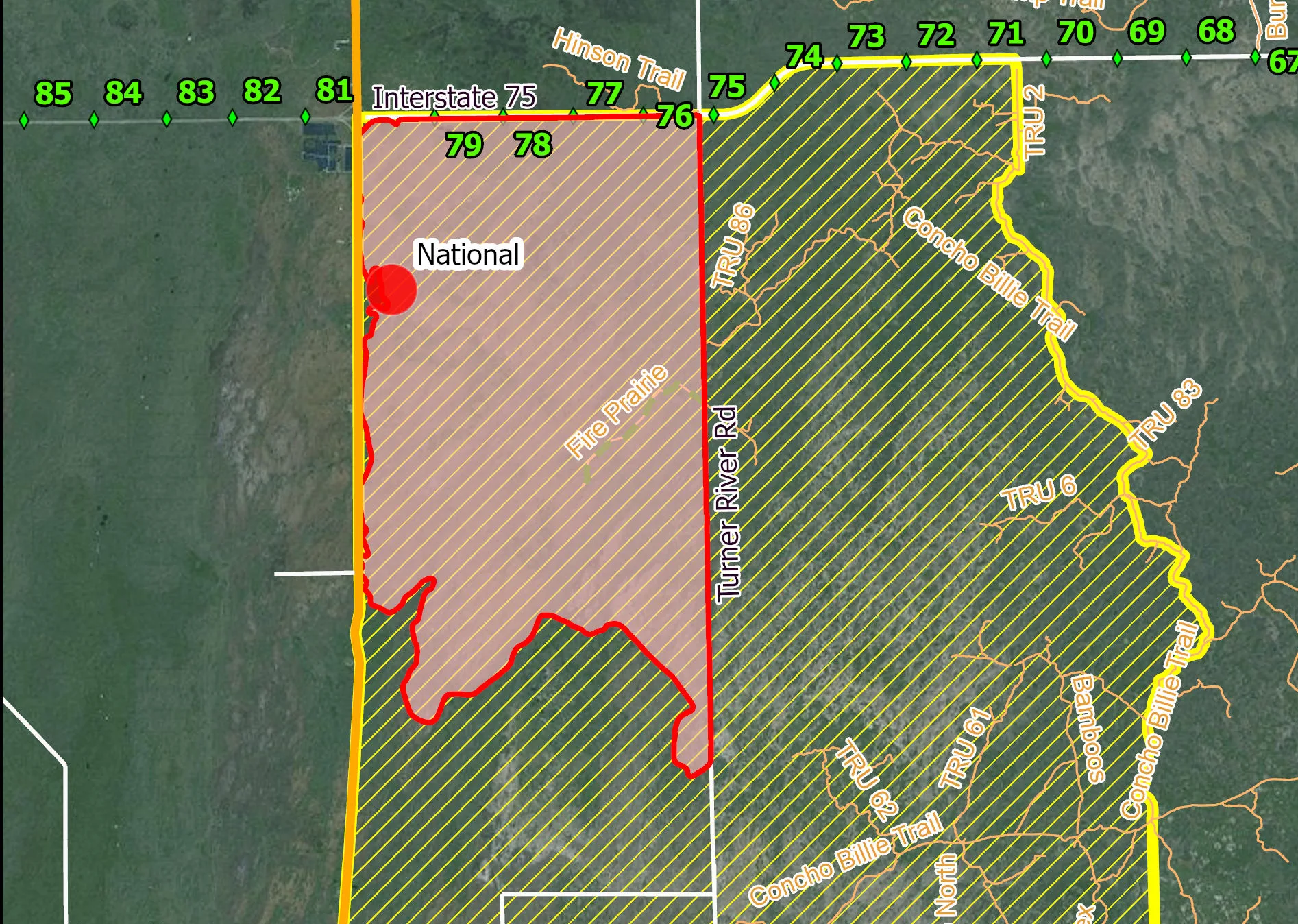 Big Cypress Fire