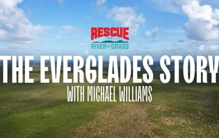 Everglades Story banner Courtesy of the Friends of the Everglades