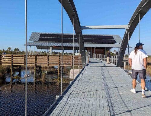 Free Admission to Florida State Parks Feb 12-16