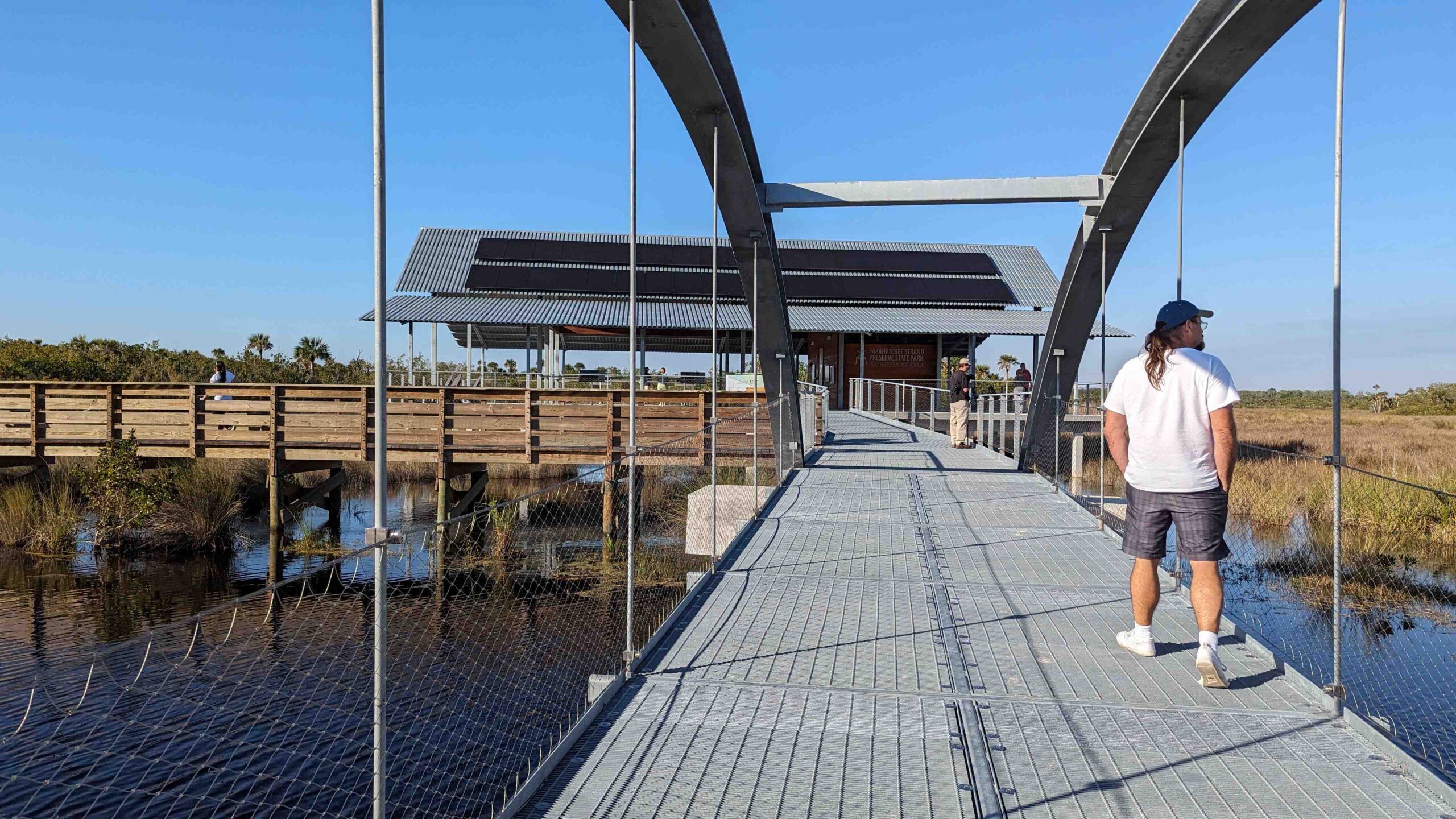 Florida State Park By Denise Wauters Copywrite 2024