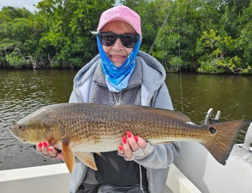 February Fishing Report 2026