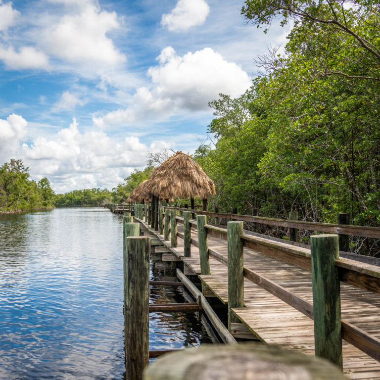Jungle Ervs Boardwalk 3 1x1 1200 768x768