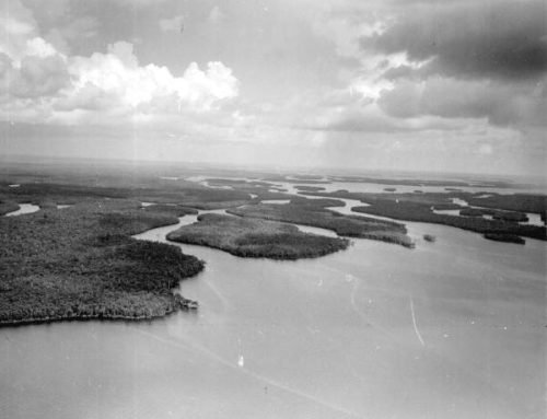 How Marijuana Smuggling Changed Everglades City