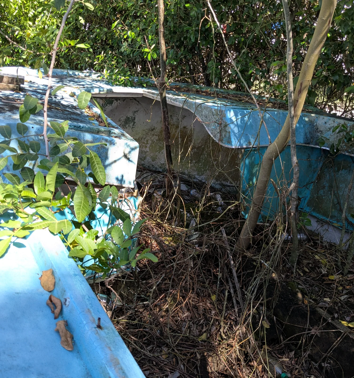 margood-boat-overgrown-before-cleanup The Mar-Good boat in Goodland overgrown with trees and vines, debris filling the hull before volunteers began the cleanup