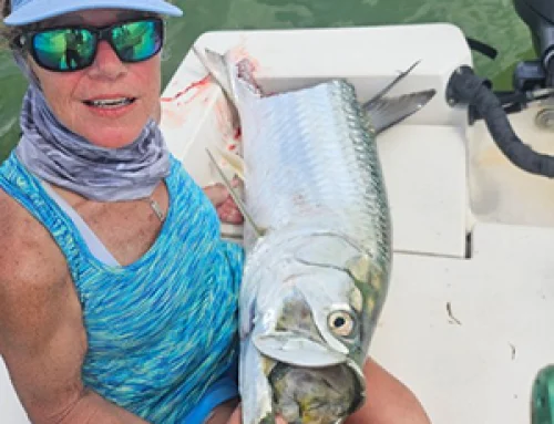 Summer Fishing in the Ten Thousand Islands 2026