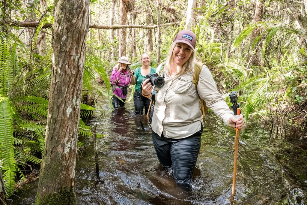 Clyde Butcher Big Cypress Gallery Swampwalk