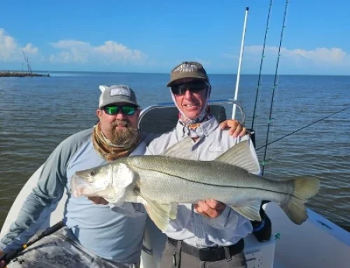 August Fishing Report for the Ten Thousand Islands